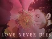 loveneverdies.jpg